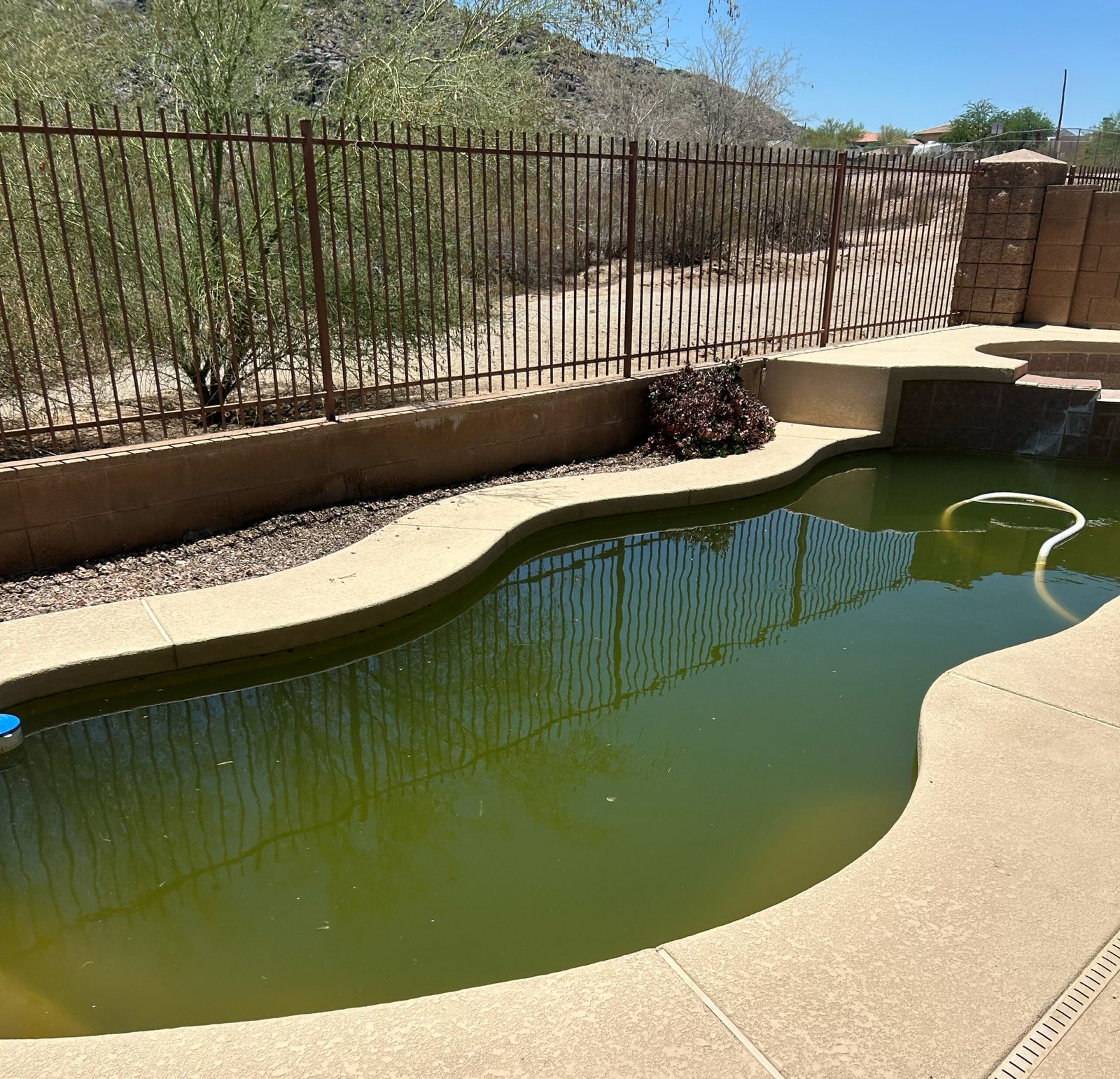 green pool service southmountainpools